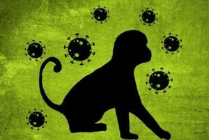 Varíola dos macacos